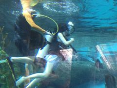 -波塞冬旅游度假区