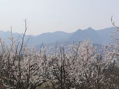 -白水寺森林公园