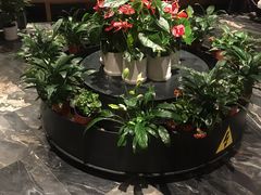 -大鸭梨烤鸭(枣园店)