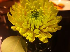 -深圳四季酒店·馥自助餐厅