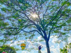 -中国科学院西双版纳热带植物园