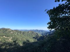 -大岭沟猕猴桃谷风景区