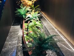 -御养源·影院式足道·按摩SPA·星级自助餐(青秀店)