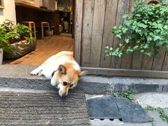 -阿木舂记·特色小吃(平江路店)
