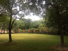 -上海交通大学医学院附属瑞金医院(总院)