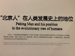 -北京周口店北京人遗址博物馆