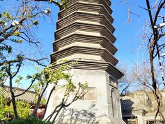 -正阳书局(西四南大街店)