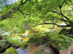 -赤水丹霞旅游区·佛光岩
