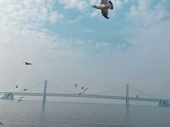 -星海广场