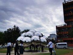 -金泽21世纪美术馆