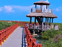 -北海金海湾红树林生态旅游区