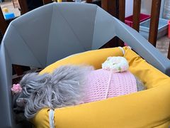 -呼吉牧蒙古烤肉·烧烤·小龙虾