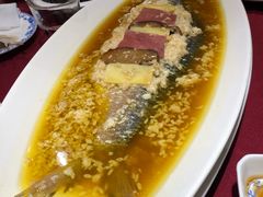 酒酿鲥鱼-老吉士酒家(天平路店)