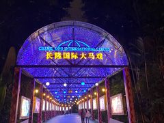 -广州长隆国际大马戏