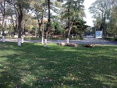android_upload_pic-辽宁大学(崇山校区)