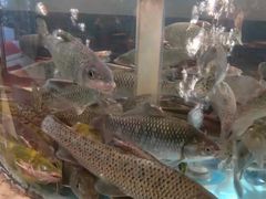 -红樽舫湖州菜.湖景餐厅(太湖渔人码头店)