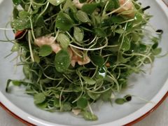 香椿苗拌核桃仁-孙记驴肉山庄(李桥店)