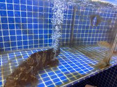-陆记鹅庄·潮汕菜·狮头鹅(大仟里店)