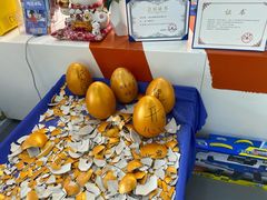 -斯坦星球AI编程·机器人科创·科学实验·信奥·思维·STEM·乐高·竞赛考级(长宁虹桥大融城荟聚中心)