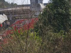 -贵阳市花溪国家城市湿地公园