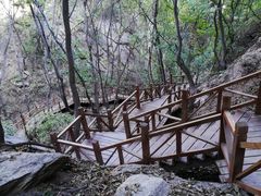 -大岭沟猕猴桃谷风景区