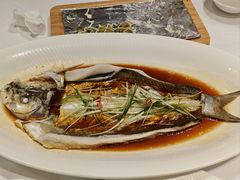 清蒸桂鱼-天福苑(崇宁路店)