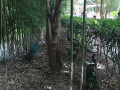 -贵州森林野生动物园