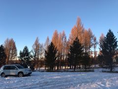 -塞罕坝国家级自然保护区