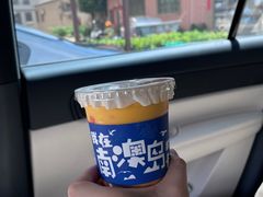 -南澳岛打卡果汁冰公司