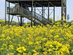 -苏州太湖西山岛开心农场