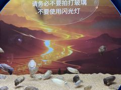 -欢乐海岸海洋奇梦馆