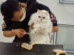 -comecome来吧宠物(奥克斯中心店)