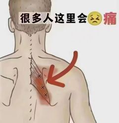 -丽减美瘦吧·减肥瘦身