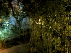 -君庭中餐厅(友谊宾馆店)