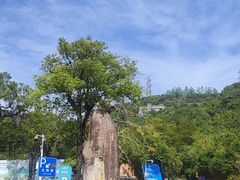 -东部华侨城