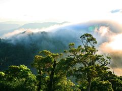 -海南热带雨林国家公园吊罗山景区