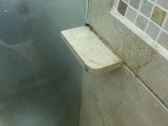 -九华山聚龙大酒店
