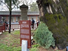 -黄帝陵
