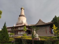 -张掖大佛寺景区