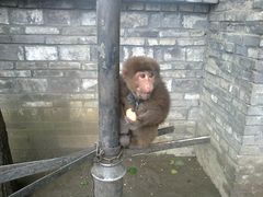 IMG_-三圣花乡旅游区