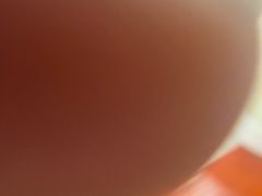 -哈尔滨东北铁锅炖(都督街店)