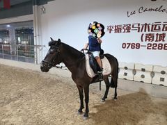 -李振强马术运动推广中心(南城店)
