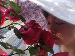 -大塘金香草谷