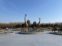 -北京野生动物园