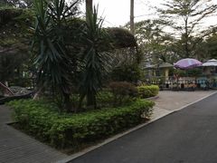 -灵玲国际马戏城
