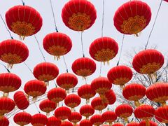 -沈阳奥体冰雪嘉年华