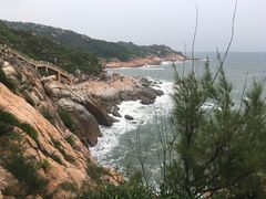 -广东惠东海龟国家级自然保护区