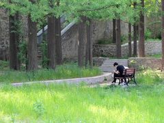 -阳台山自然风景区