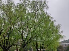 -上海佘山茂御臻品之选酒店(原佘山艾美酒店)