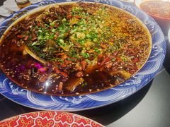 -新概念来凤鱼(璧山店)
